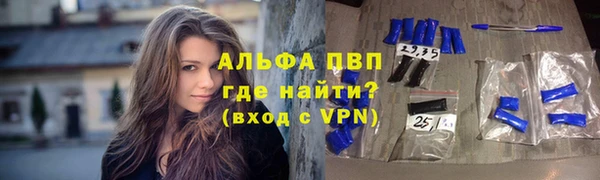 трава Аркадак