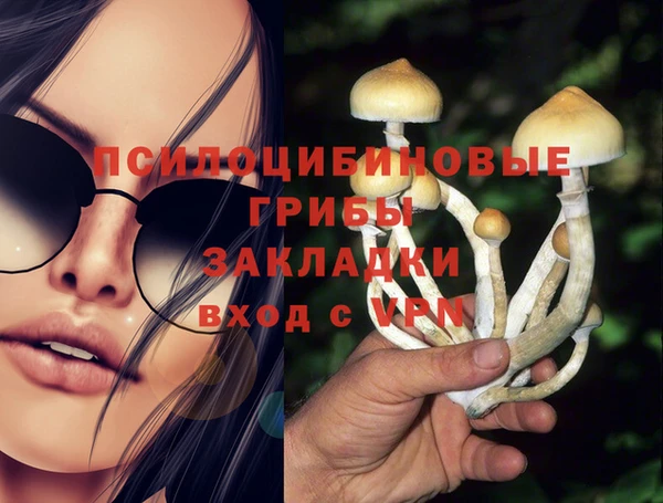 МДМА Арсеньев