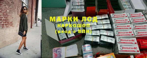 трава Аркадак