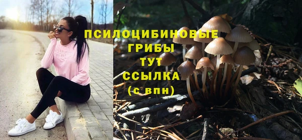 трава Аркадак