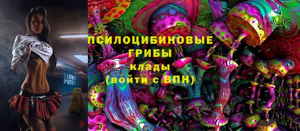 трава Аркадак