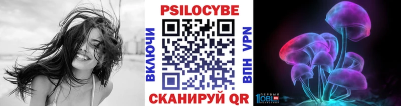 Псилоцибиновые грибы Psilocybine cubensis  Георгиевск 