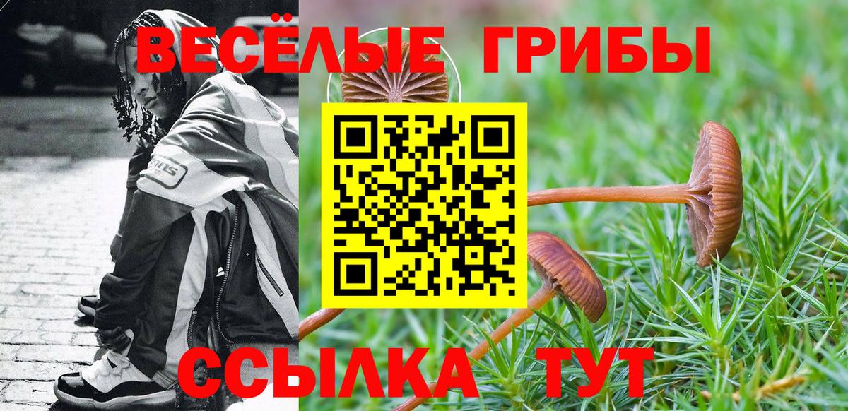 Галлюциногенные грибы мухоморы  Вход с VPN  Псилоцибиновые грибы мицелий  Георгиевск 